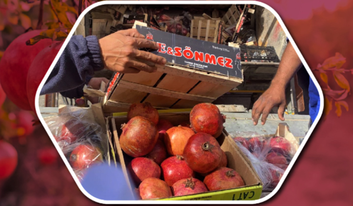 Damaged pomegranates